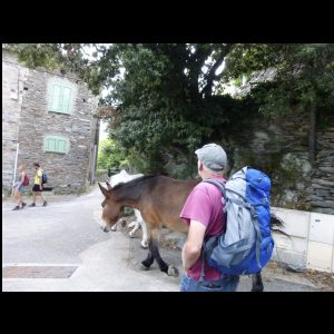 12-003 - sie begleiteten uns ins Dorf.JPG